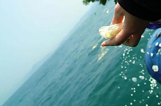 骨灰撒海有忌讳吗